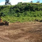 What a Professional Land Clearing Job Looks Like